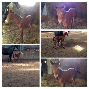 69538_10152282374549371_1130736262_n